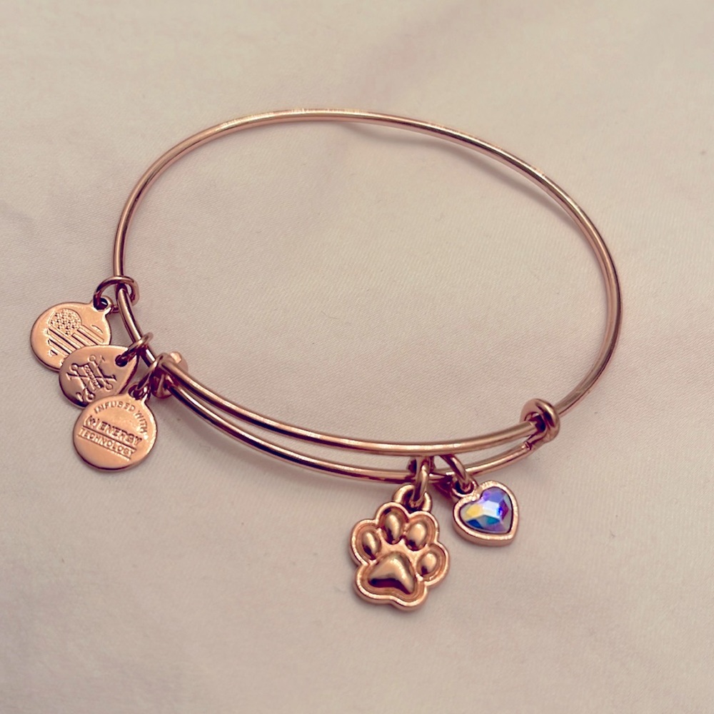 Alex and Ani Paw charm bangle bracelet